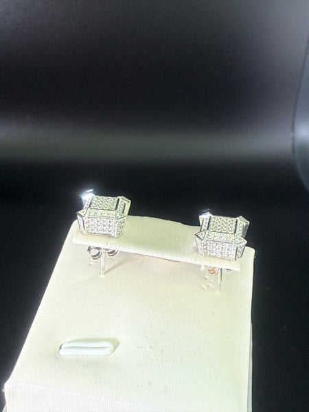 Iced 0.05 Moissanite Diamond Studs Earring. Pass Diamond Test