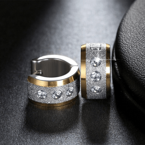 Red Leaf Bear - FREE Shipping - Something for Everyone Earrings TWO TONE Stainless Mens Huggie Hoops